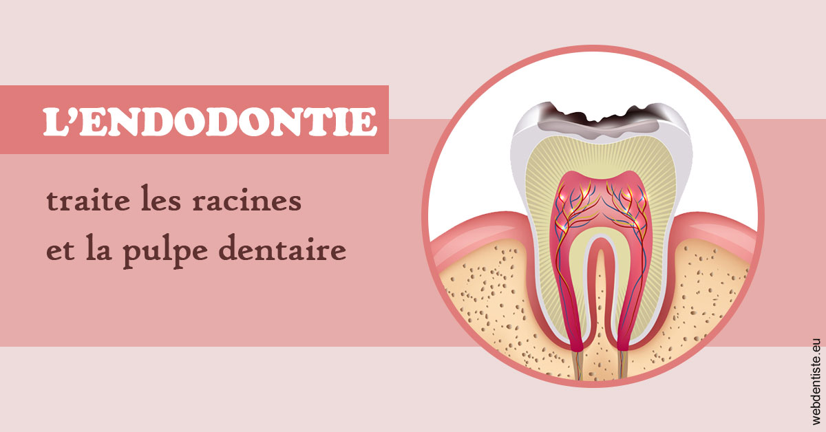 https://dr-nicolas-baert.chirurgiens-dentistes.fr/L'endodontie 2