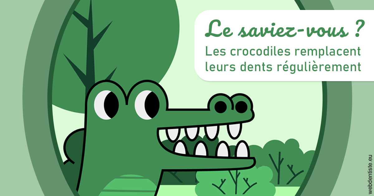 https://dr-nicolas-baert.chirurgiens-dentistes.fr/Crocodiles 2